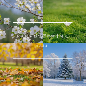 成年女人视频免费观看一
