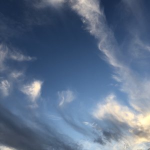 成年女人视频免费观看一
